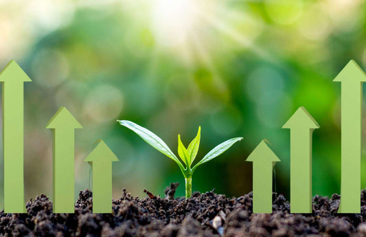 Young green plant sprouting from soil surrounded by upward growth arrows symbolizing cultivating a growth mindset and personal development